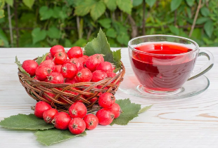 The decoction of the hawthorn