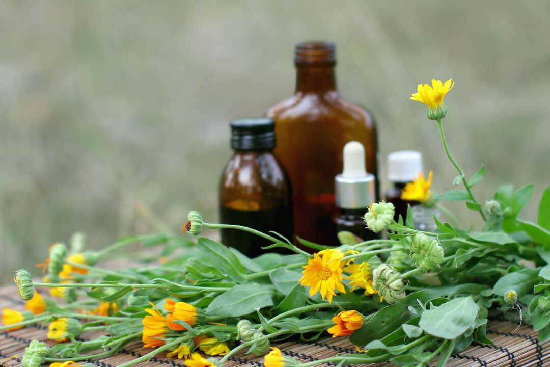 Elecampane - a folk remedy for sexual arousal with reduced potency