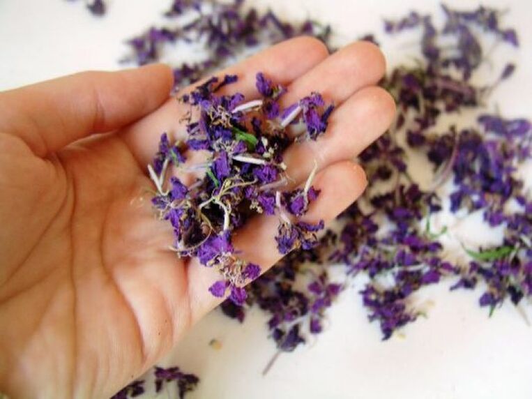 The medicines are prepared from dried fireweed flowers