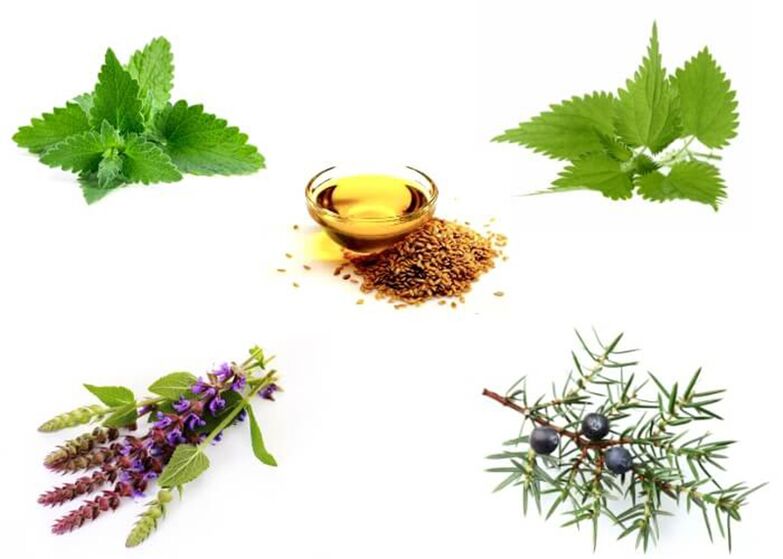 Mint, nettle, thyme, juniper and flax seed oil